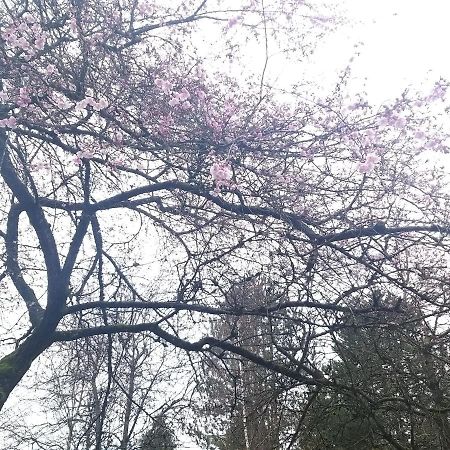 Sunshine Suite Vancouver Zewnętrze zdjęcie